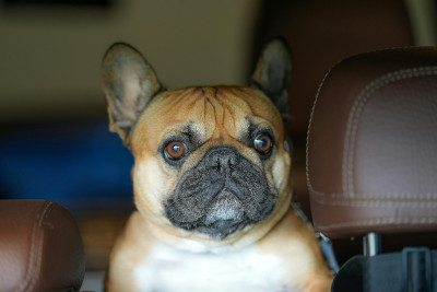 Hotel w drodze Tulip Inn